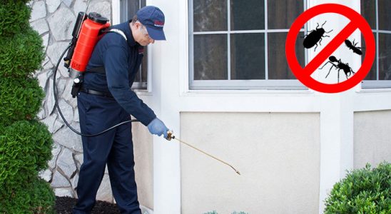 Bozyazı Tahtakurusu İlaçlama böcek ilaçlama ve haşere kontrolü — ilaclama-tr.com